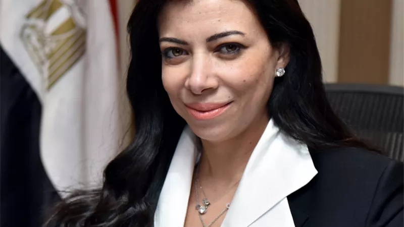 خورشيد: بدء إعداد اللائحة التنفيذية لمشروع قانون الاستثمار الجديد