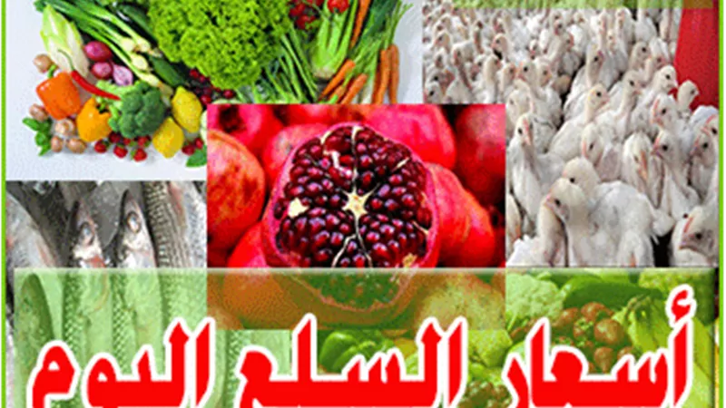 نشرة أسعار السلع اليوم 5 يناير 2017.. ارتفاع الدواجن واستقرار في «الخضار والفاكهة والأسماك»