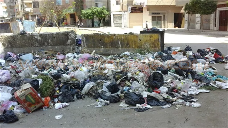 «رجال الأعمال» تناقش «أزمة القمامة» فى اجتماع موسع.. يناير الجارى