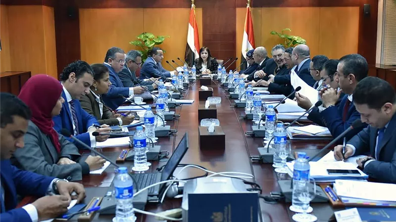 داليا خورشيد: ترحيب من رجال الأعمال بمشروع القانون الجديد