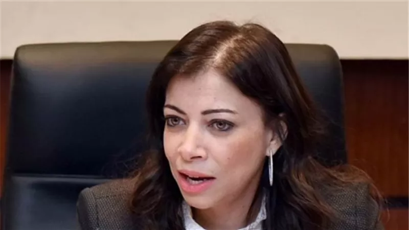 «الاستثمار»:طرح جزئي لبعض الشركات الحكومية بالربع الأول