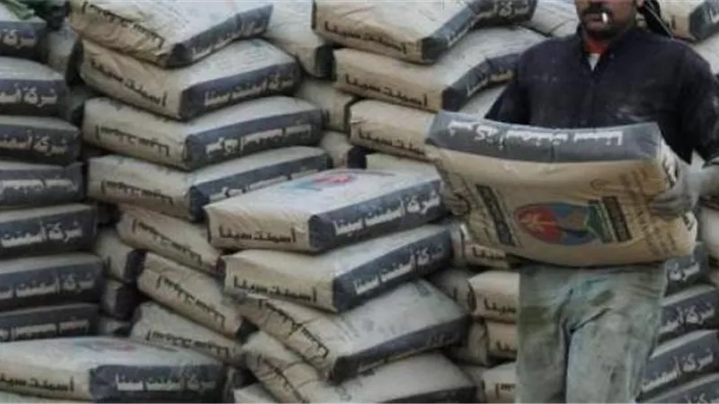 «التنمية الصناعية» تطرح 11 رخصة جديدة للأسمنت
