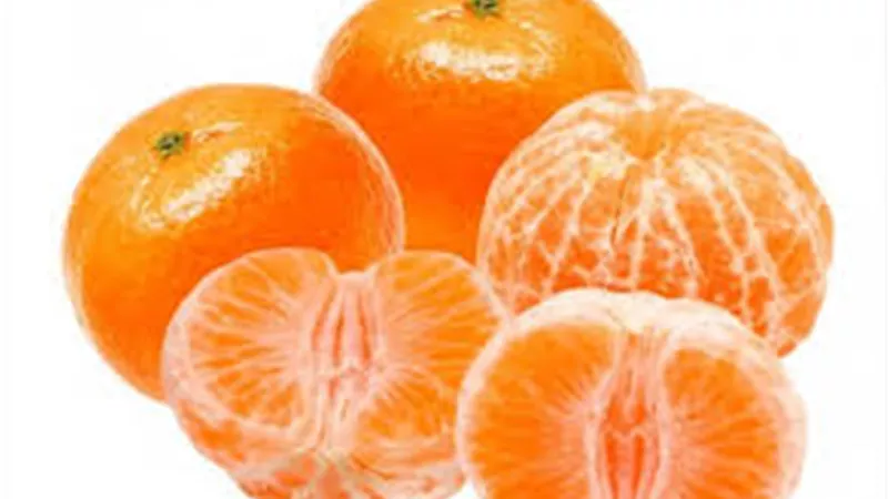 أسعار الفاكهة اليوم الجمعة.. و