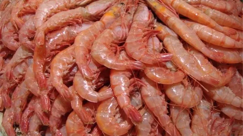 أسعار الأسماك اليوم الجمعة.. و