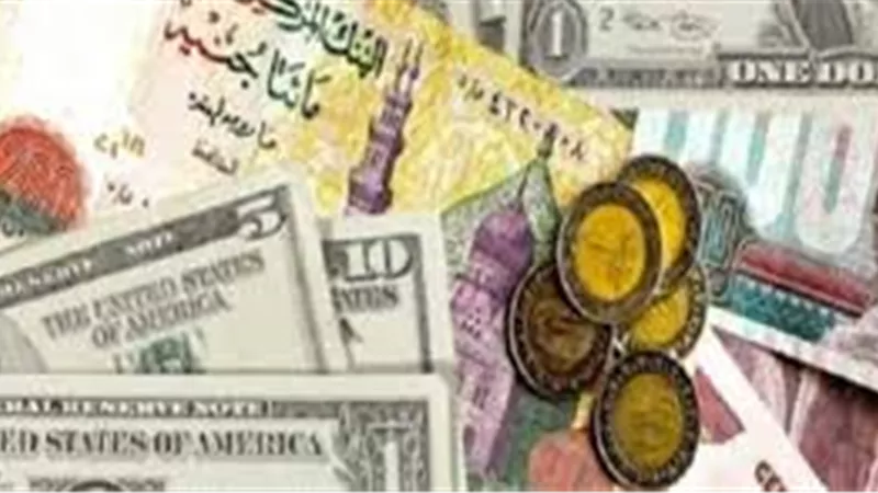 فشل دراسات «النقد الدولى» للاقتصاد المصري.. حسانين: تصريح «الصندوق».. موحد لكل الدول.. و«شاكر» يطالب بالإفراج عن «الاستثمار».. وتوقعات بوصول الدولار لـ22 جنيها