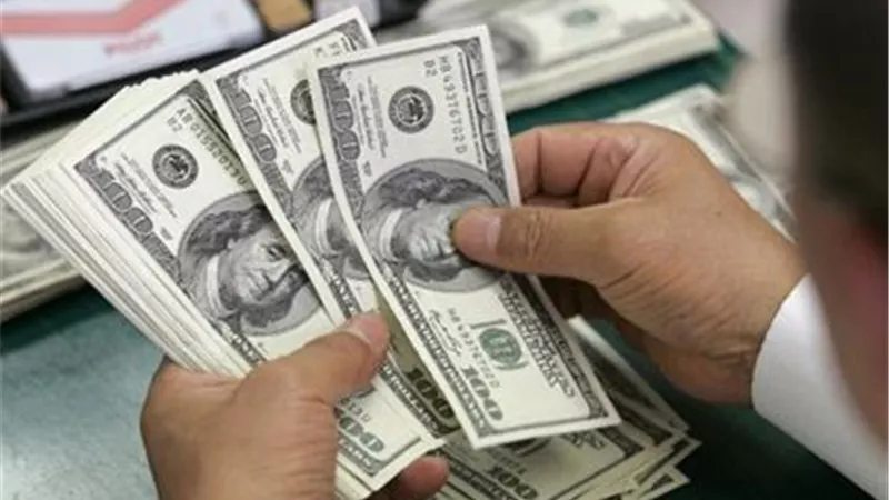 ترحيب واسع بـ «إلغاء قيود إيداع وتحويل الدولار»..«بسنت فهمي»: يحد من تهريب العملة..«الشيمي»: قرار جيد..«عيسى فتحي»: يقضي على «الموازية»