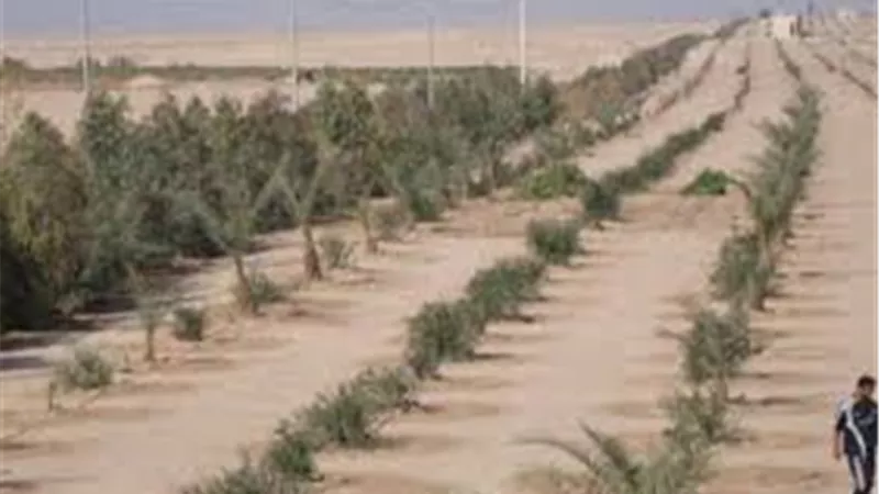 ملاك شرق السكة: الإسكان تطرد الاستثمارات وتتعدى على 3 أفدنة بالحزام الأخضر