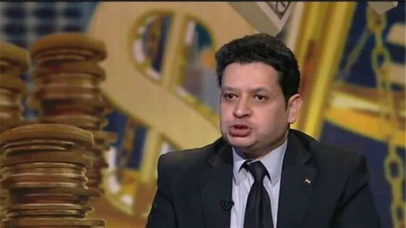 خبير اقتصادي: على الحكومة تحسين المناخ العام للدولة