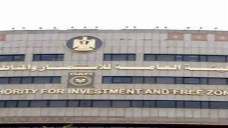 «الاستثمار»: تأسيس 281 شركة جديدة خلال أسبوع