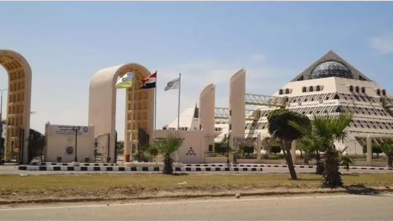 «برج العرب»: قانون الاستثمار الجديد لن يحل تداخل اختصاصات «الوزارات»