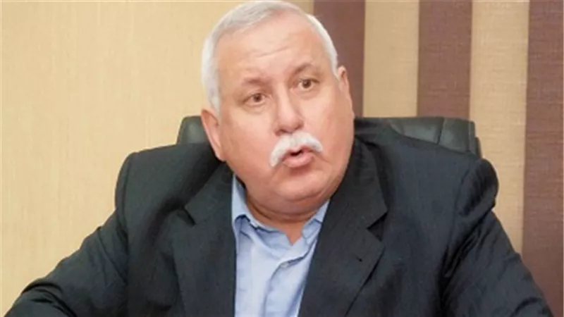 المرشدي: 90% من إنتاج مصر في المشروعات الصغيرة والمتوسطة