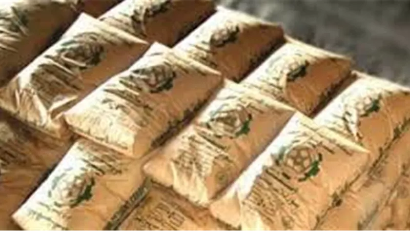 «الوادي» تنفي المنافسة على شراء رخص جديدة للأسمنت