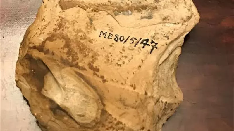 مصر تتسلم «فأساً أثرياً» من بلجيكا