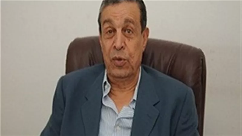 «الشافعي»: الإصلاحات جذبت المستثمرين الأجانب إلى مصر