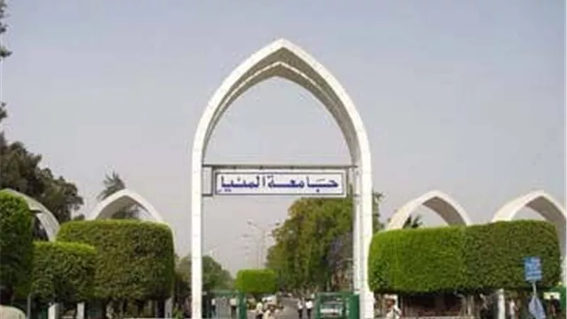 جامعة المنيا تطرح مناقصة تركيب الغاز