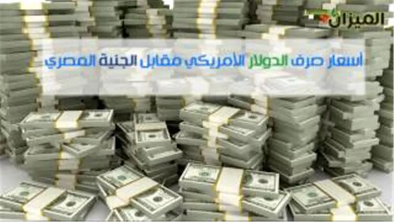 بالفيديو.. أسعار صرف الدولار الأمريكي مقابل الجنيه المصري