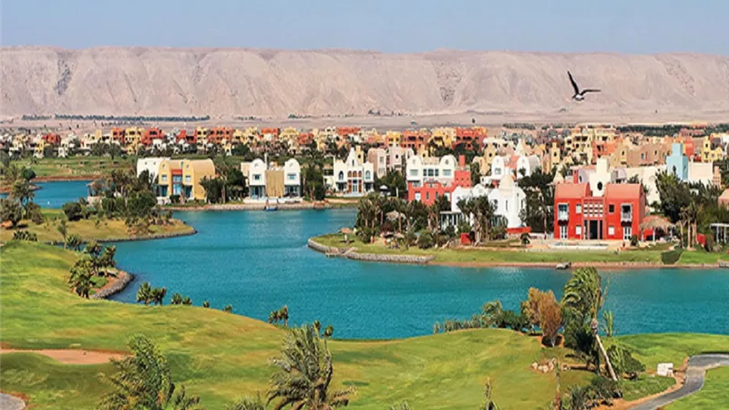 «أوراسكوم للتنمية» تصدر 297.8 ألف شهادة إيداع