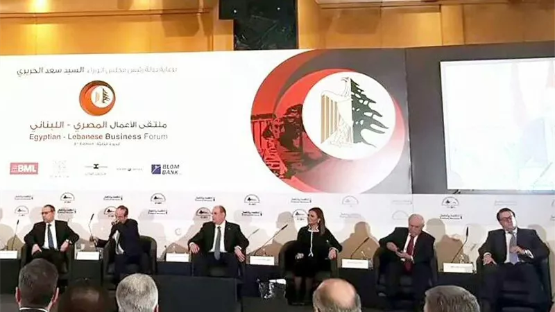 «نصر» تبحث سبل التعاون المصري - اللبناني الجاذبة للاستثمار
