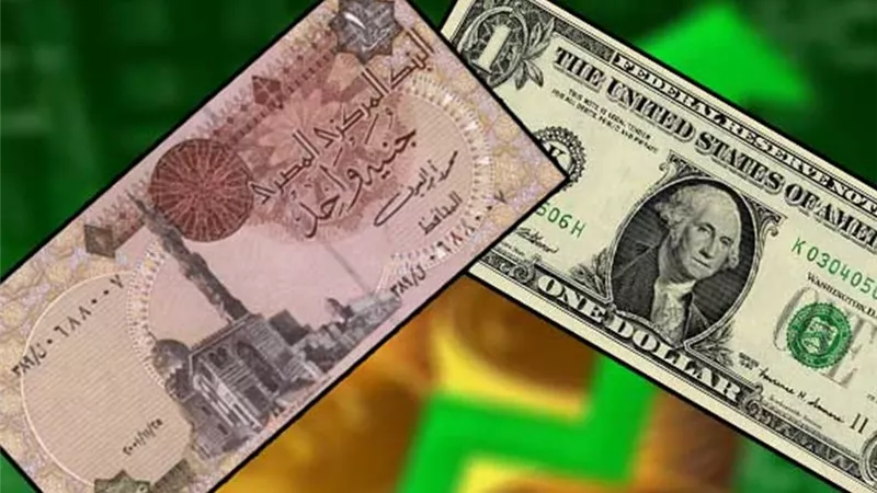«الحكيم»: تذبذب الجنيه مستمر حتى منتصف 2017