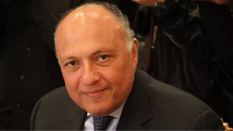وزير الخارجية يغادر مطار القاهرة