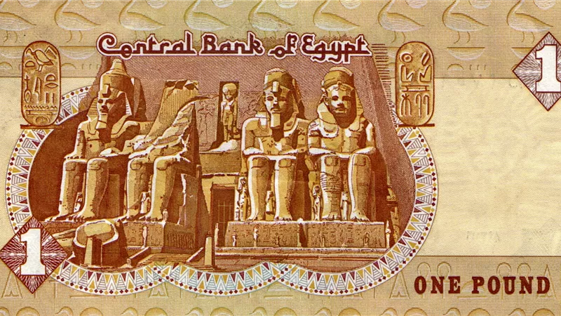 تيم فوكس: مصر بدأت جني ثمار التعويم