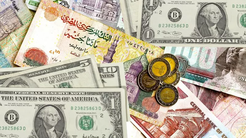 الدولار يواصل ارتفاعه بـ«المركزى» 
