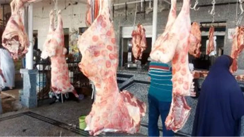 أسعار اللحوم فى مصر اليوم ..  والضأن يبدأ من 160 جنيها
