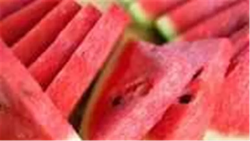 هل البطيخ في الأسواق مسرطن ؟.. 