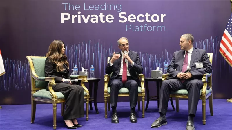 الحكومة: 4.9 مليار دولار حجم صادرتنا الرقمية