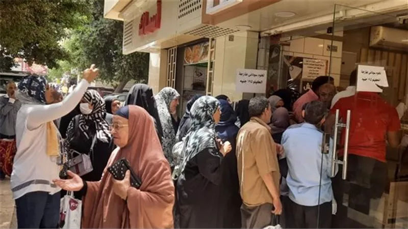 «التموين» تطرح 1000 كيلو من اللحوم بالمجمعات