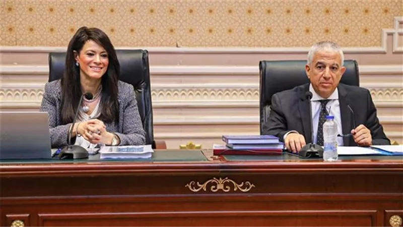 المشاط : 169 مشروعا جاريشا بمنح تنموية قيمتها 3.4 مليار دولار