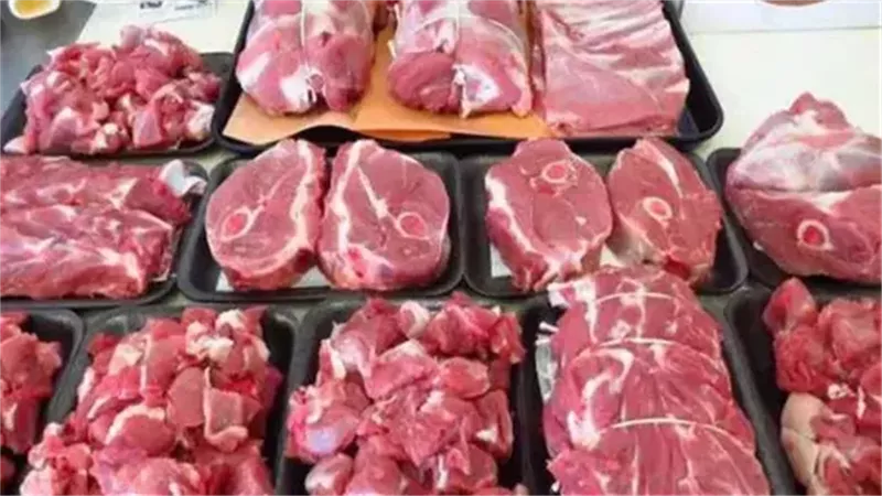«التموين» : توفير 100 ذبيحة سودانية و250 طنا من اللحوم البرازيلي المجمدة بفروع النيل