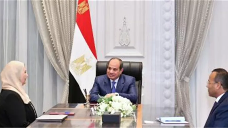 السيسى يوجه بمراعاة تشغيل رأس المال بطرق فعالة للحفاظ على التراث الوطنى