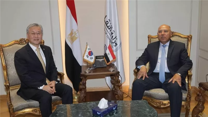 وزير النقل يبحث توطين صناعة قطارات المترو في مصر