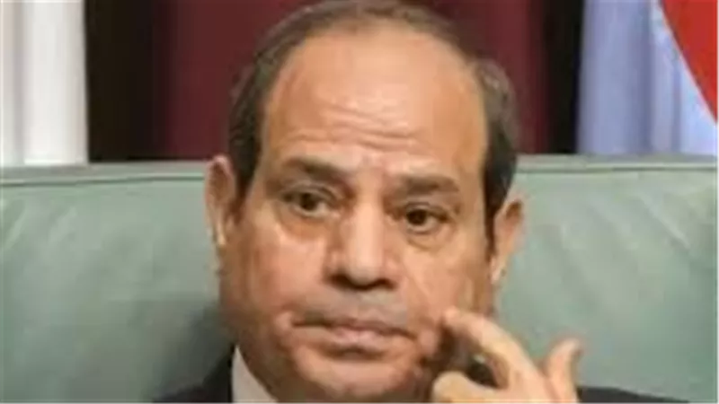 الجالية المصرية بسويسرا تدشن  حملة  لدعم السيسي