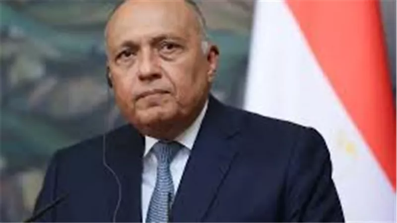 وزير الخارجية: نعمل علي وقف التصعيد في قطاع غزة  بشتي السبل 