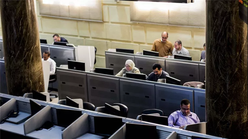 لهذه الاسباب: إيقاف التداول على أسهم شركة المصرية للدواجن