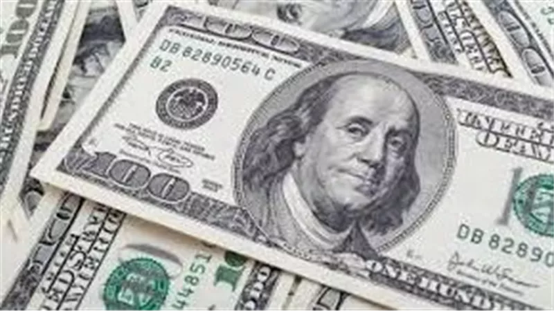  المركزي :29.229 مليار دولار اقساط وفوائد  مستحقة السداد عام 2024