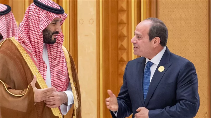 مصر والسعودية تؤكدان قلقهما تجاه تدهور الأوضاع في قطاع غزة