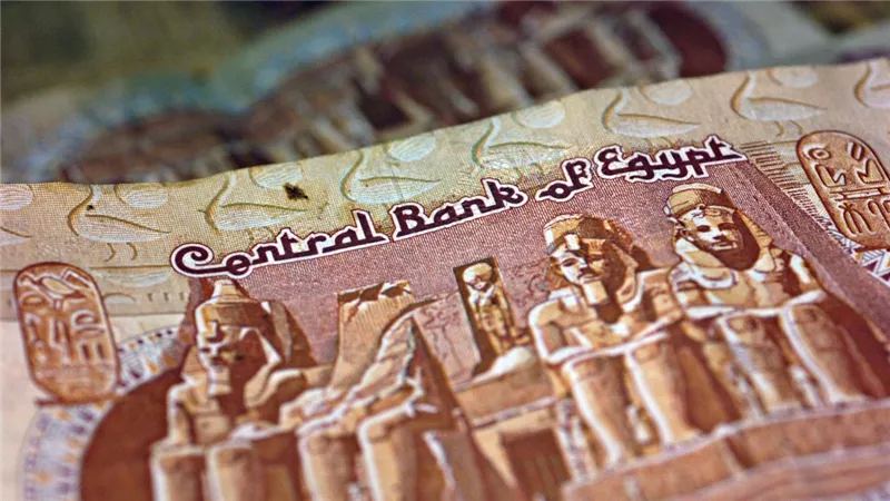 خبير اقتصادي يكشف أهمية إطلاق الجنيه الرقمي  