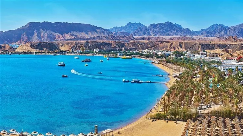  90% نسبة الإشغال بفنادق البحر الأحمر خلال احتفالات رأس السنة