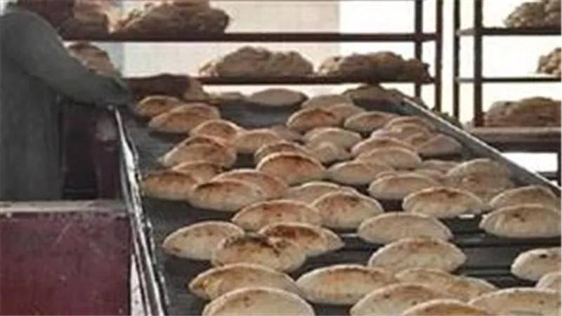 سعر جديد لرغيف العيش في مصر (تفاصيل)