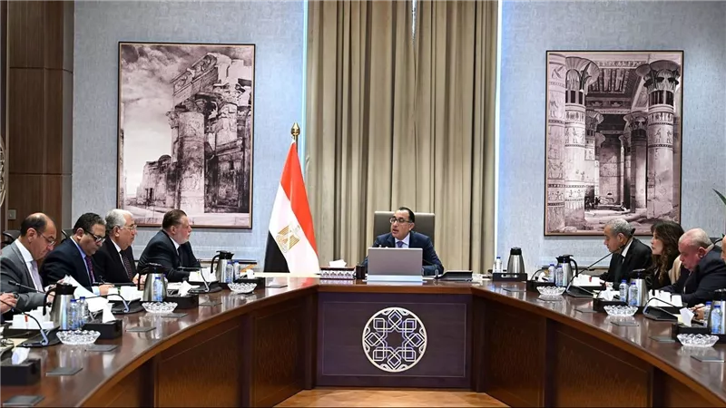 1.3 مليار دولار قيمة السلع الغذائية والأدوية والأعلاف لدي مصر في الجمارك