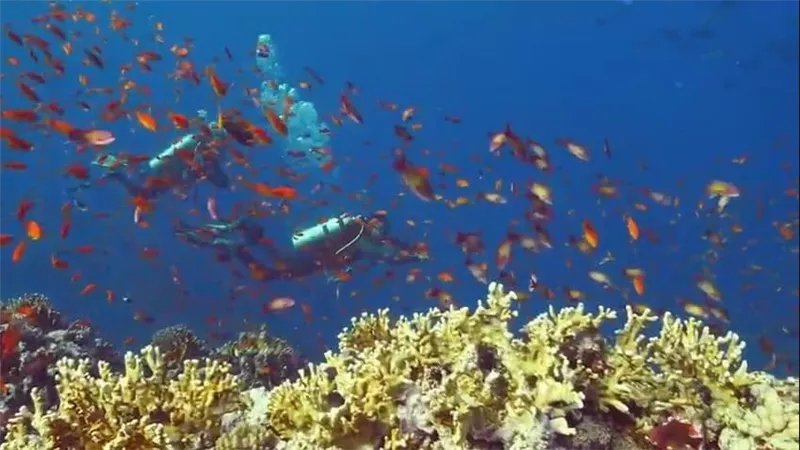 موقع TripAdvisor: الغردقة ثالث أفضل الوجهات الطبيعية للزيارة في العالم