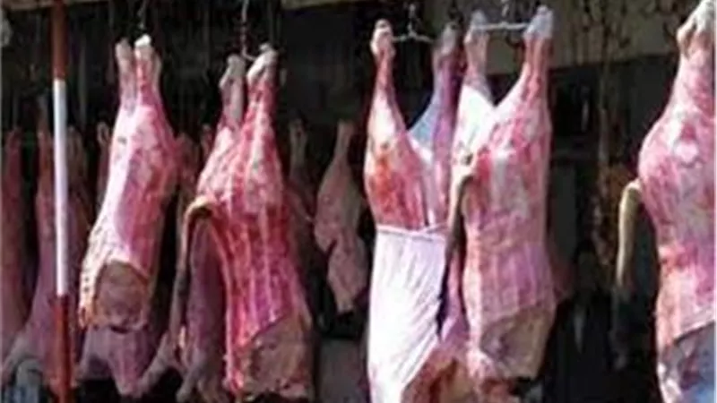 وزارة الزراعة: انخفاض أسعار اللحوم فى المنافذ لـ280 جنيهاً