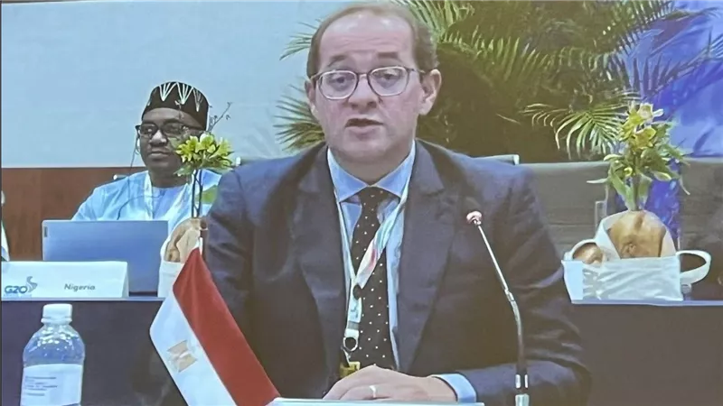 المالية : نستهدف توجيه الإيرادات الضريبية لتحسين معيشة المواطنين