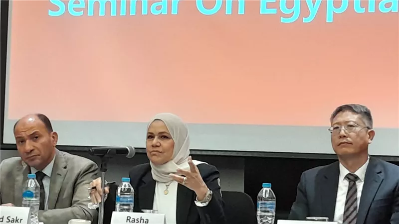 رشا عبدالعال: مصر تسعى لجذب المزيد من الاستثمارات الصينية 