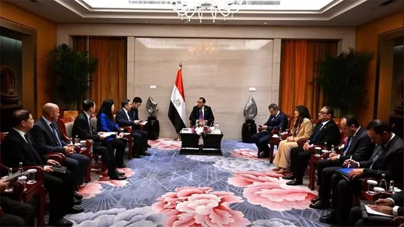 مدبولي يدعو شركة «تشاينا إنرجي» لإنشاء مصانع لتوطين الصناعات المرتبطة بالطاقة المتجددة