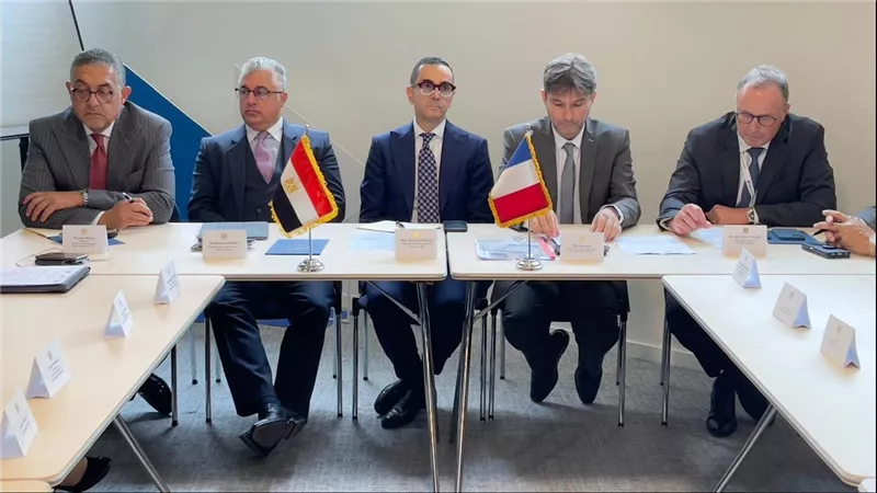 مصر وفرنسا يبحثان  فرص الاستثمار في الوقود الأخضر  
