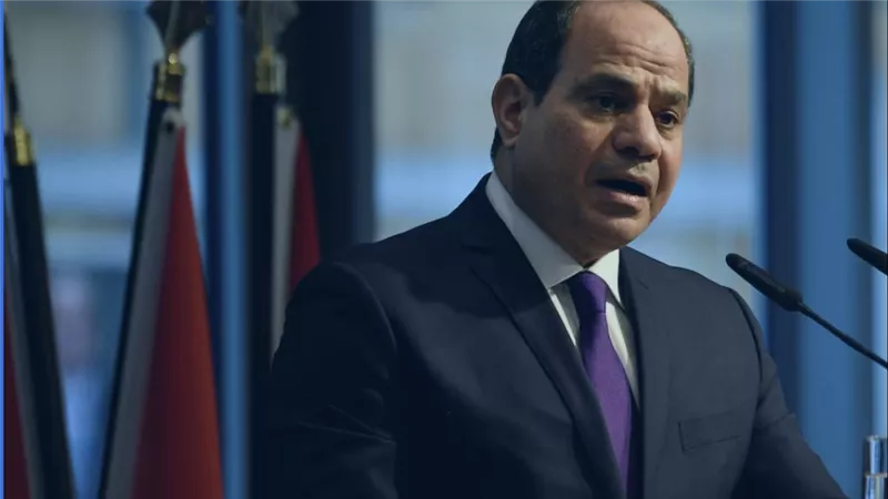 رويترز: مصرطلبت شراء كميات ضخمة من القمح  بسبب مخاوف  تتعلق بالأمن الغذائي